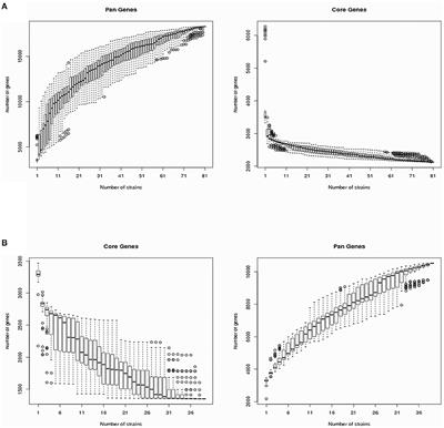 Pan-Genome Analysis of Vibrio cholerae and Vibrio metschnikovii Strains Isolated From Migratory Birds at Dali Nouer Lake in Chifeng, China